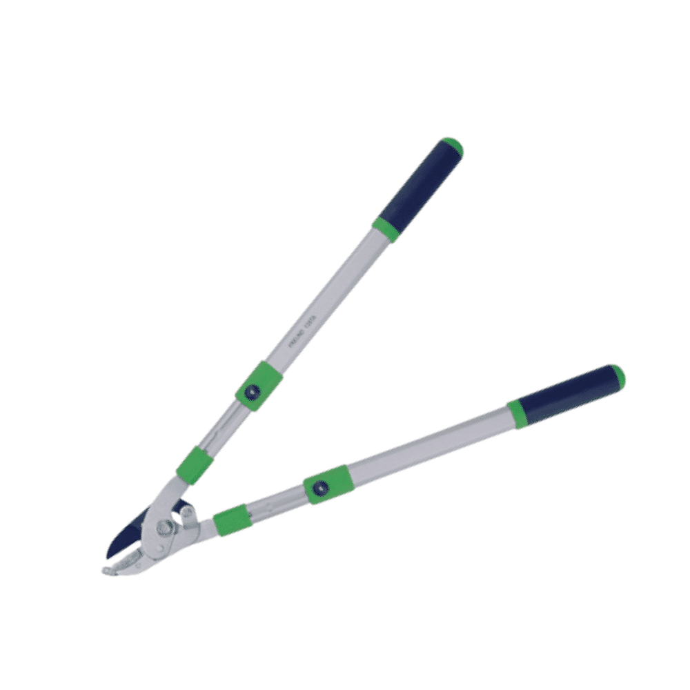 ΨΑΛΙΔΙ-ΚΛΑΔΕΜΑΤΟΣ-ΕΛΑΦΡΥ-ΜΕ-ΜΕΓΑΛΑ-ΤΗΛΕΣΚΟΠΙΚΑ-ΧΕΡΟΥΛΙΑ-1